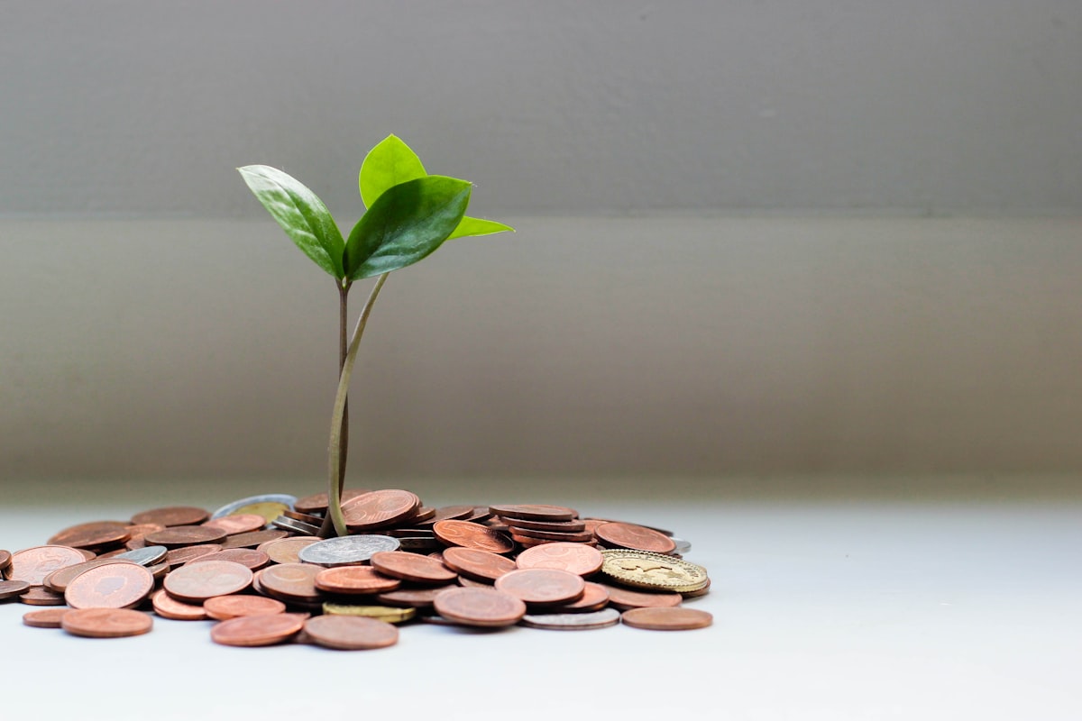 Growth financing